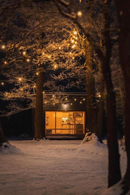 Beautiful Tiny House On The Lake Side. Trakai Buitenkant foto